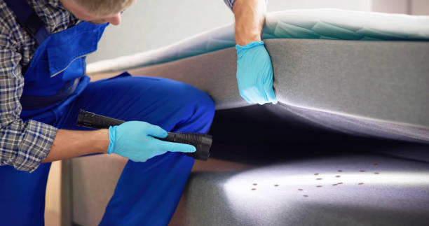 Best Local Pest Control Services  in Lake Fenton, MI