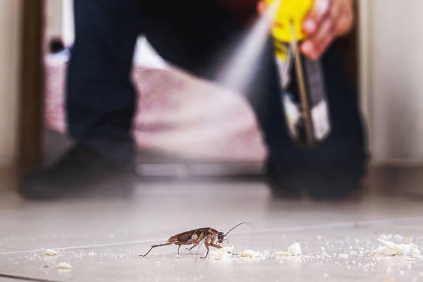 Best Cockroach Control Services  in Lake Fenton, MI