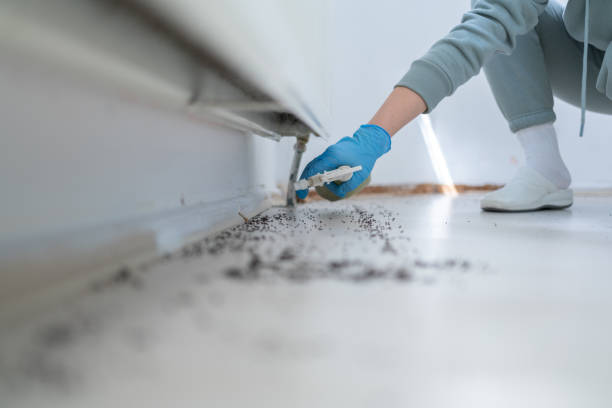 Wasp Removal Services in Lake Fenton, MI